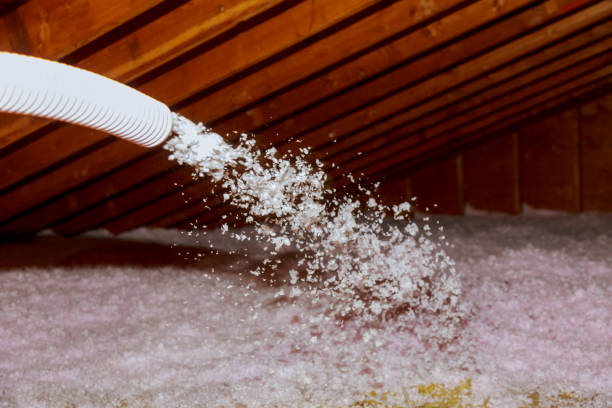 Best Spray Foam Insulation  in La Grulla, TX