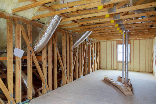 Best Blown-in Insulation  in La Grulla, TX