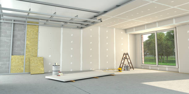 Best Residential Insulation Services  in La Grulla, TX