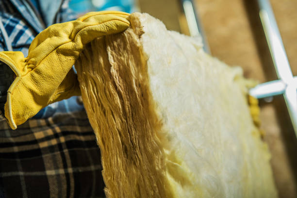 Best Attic Insulation Installation  in La Grulla, TX