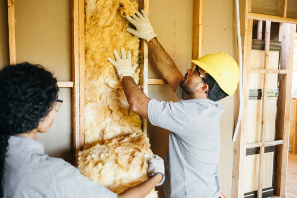 Best Wall Insulation Contractor  in La Grulla, TX
