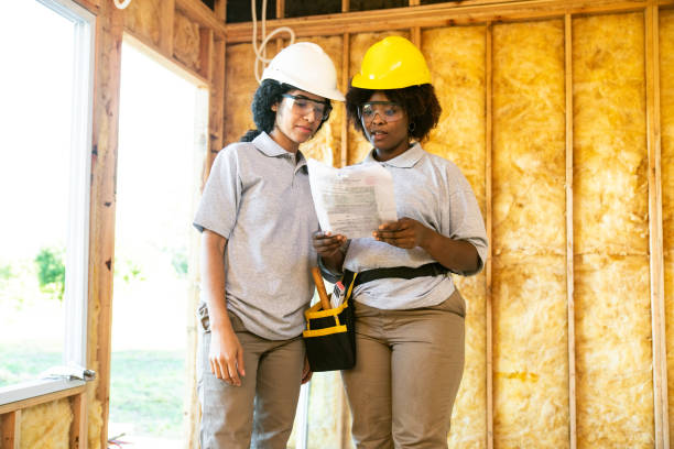 Best Professional Insulation Contractor  in La Grulla, TX