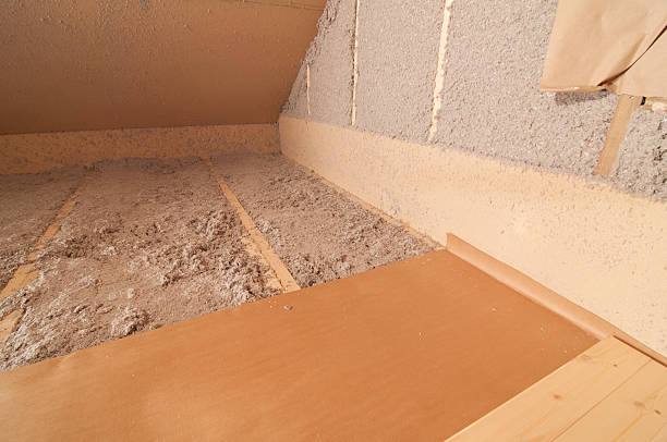 Reliable La Grulla, TX Insulation Contractor Solutions