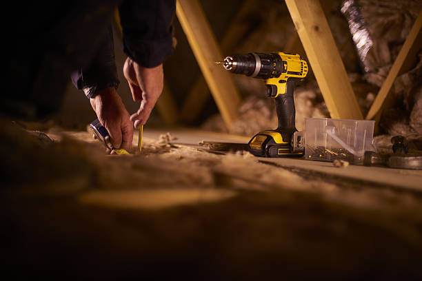 Best Insulation Contractor Near Me  in La Grulla, TX