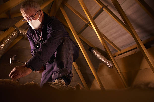  La Grulla, TX Insulation Contractor Pros